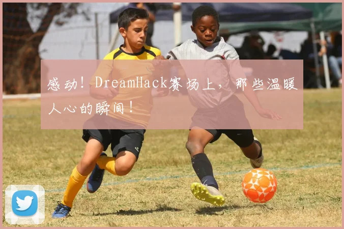 感动！DreamHack赛场上，那些温暖人心的瞬间！